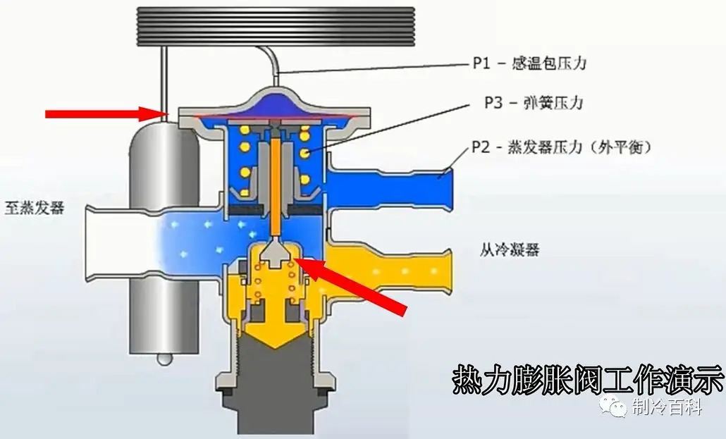 排污离心泵的应用及特性深度解析