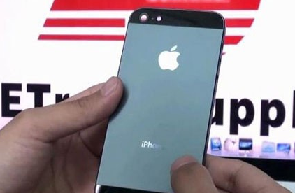 4949正版免费资料大全水果，效率资料解释落实_iPhone89.11.57