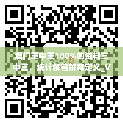 澳门王中王100%的资料三中三，统计解答解释定义_VIP91.100.60