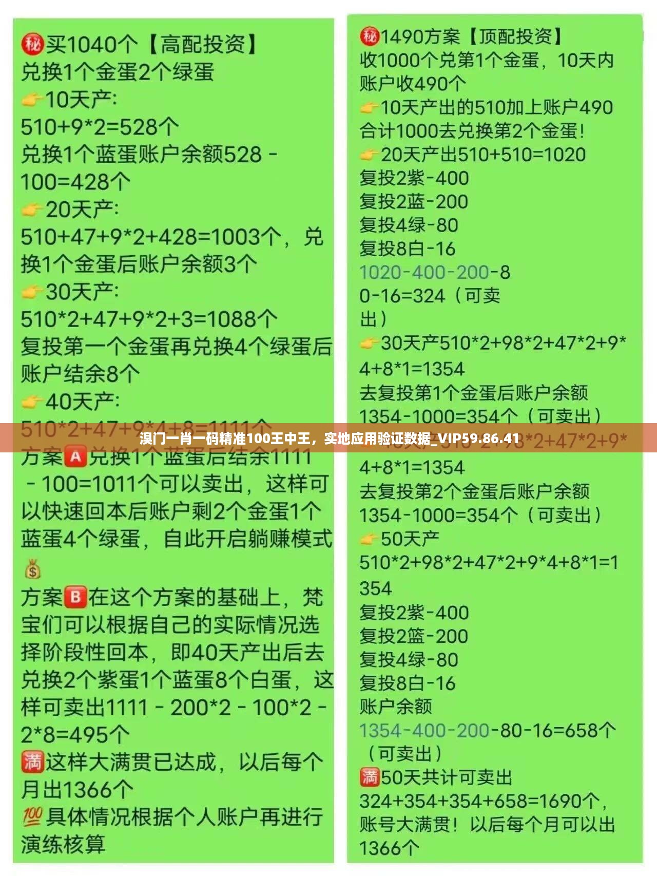 溴门一肖一码精准100王中王，实地应用验证数据_VIP59.86.41