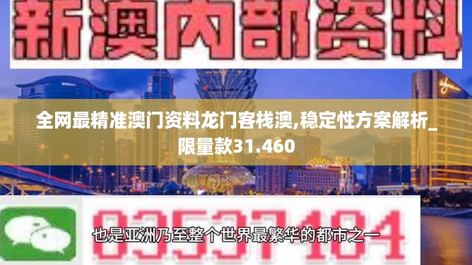 全网最精准澳门资料龙门客栈澳,稳定性方案解析_限量款31.460