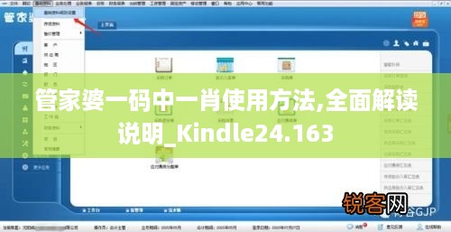 管家婆一码中一肖使用方法,全面解读说明_Kindle24.163