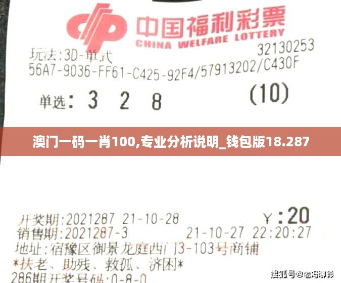 澳门一码一肖100,专业分析说明_钱包版18.287