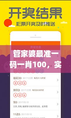 管家婆最准一码一肖100，实践性计划实施_app70.19.96