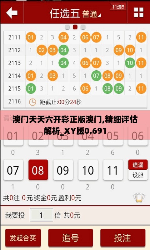 澳门天天六开彩正版澳门,精细评估解析_XY版0.691