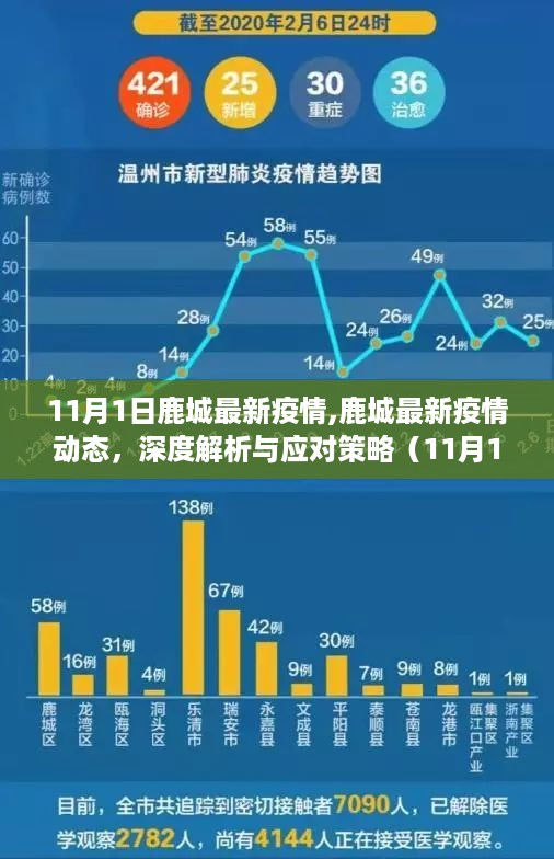 鹿城最新疫情动态深度解析及应对策略（11月1日更新版）