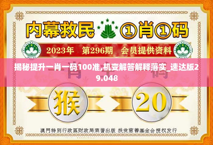 揭秘提升一肖一码100准,机变解答解释落实_速达版29.048