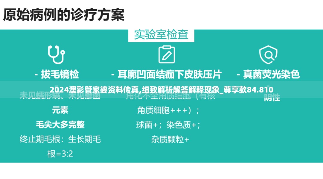 2024澳彩管家婆资料传真,细致解析解答解释现象_尊享款84.810