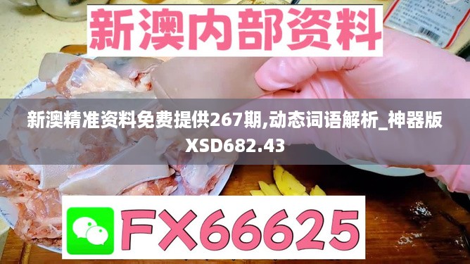 新澳精准资料免费提供267期,动态词语解析_神器版XSD682.43