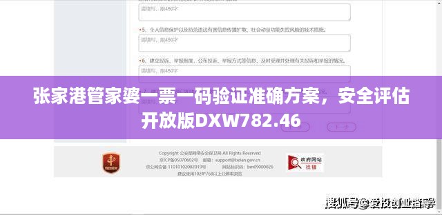 张家港管家婆一票一码验证准确方案，安全评估开放版DXW782.46