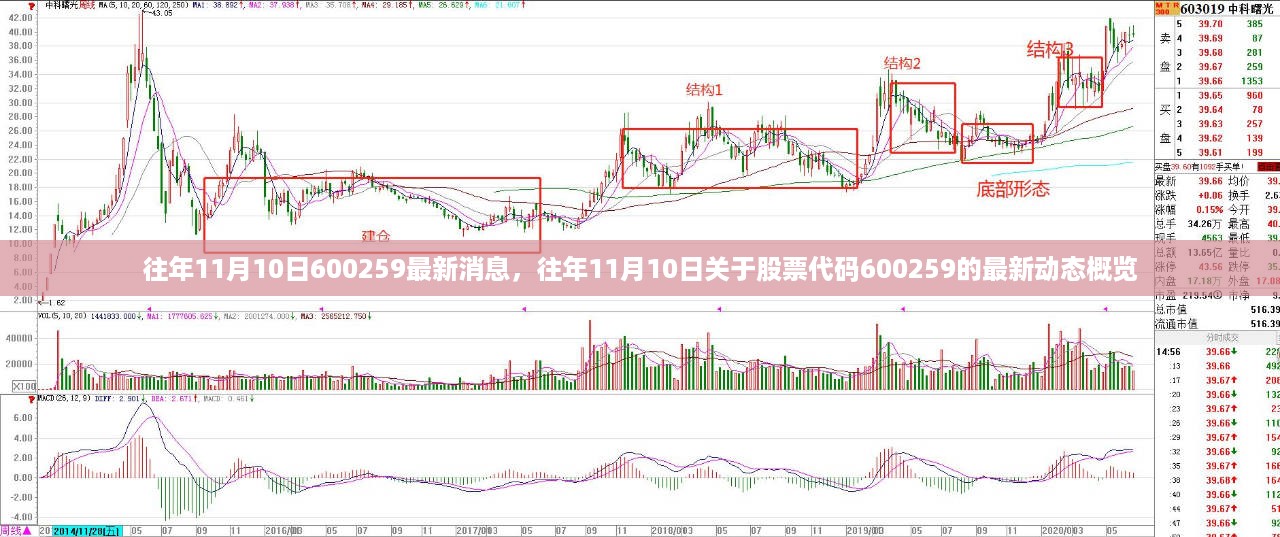 股票代码600259最新动态概览，历年11月10日最新消息回顾