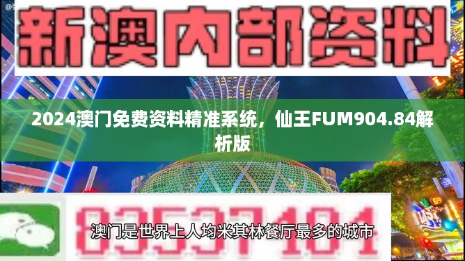 2024澳门免费资料精准系统，仙王FUM904.84解析版