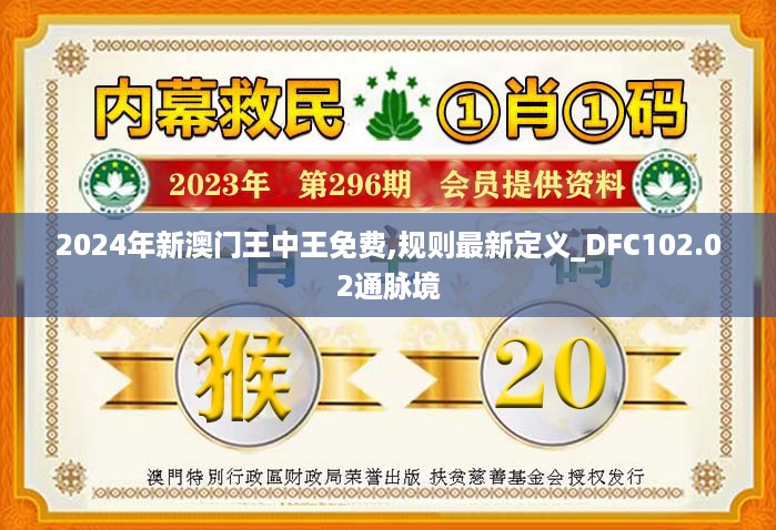 2024年新澳门王中王免费,规则最新定义_DFC102.02通脉境