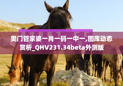 奥门管家婆一肖一码一中一,图库动态赏析_QHV231.34beta外测版