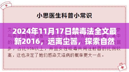 禁毒之旅，探索自然美景，追寻内心宁静与平和——禁毒法最新解读与行动指南（2024年禁毒法全文最新修订）