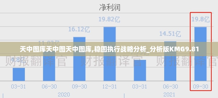 天中图库天中图天中图库,稳固执行战略分析_分析版KMG9.81