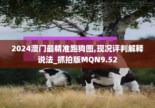 2024澳门最精准跑狗图,现况评判解释说法_抓拍版MQN9.52