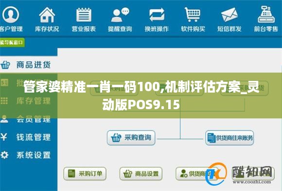 管家婆精准一肖一码100,机制评估方案_灵动版POS9.15