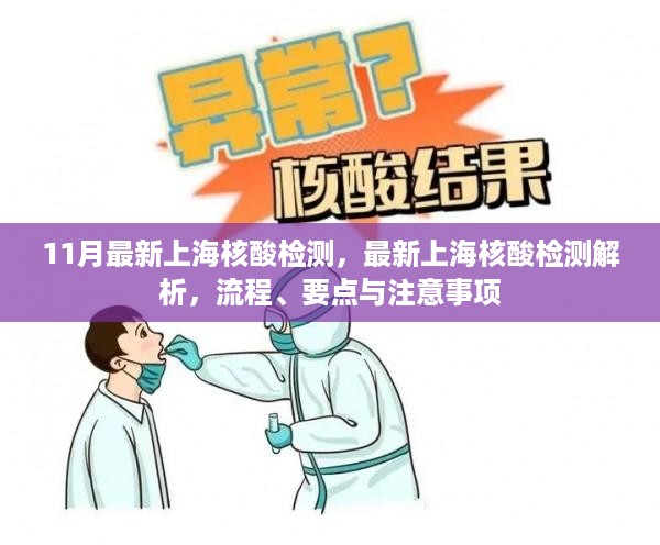 上海最新核酸检测解析，流程、要点及注意事项指南