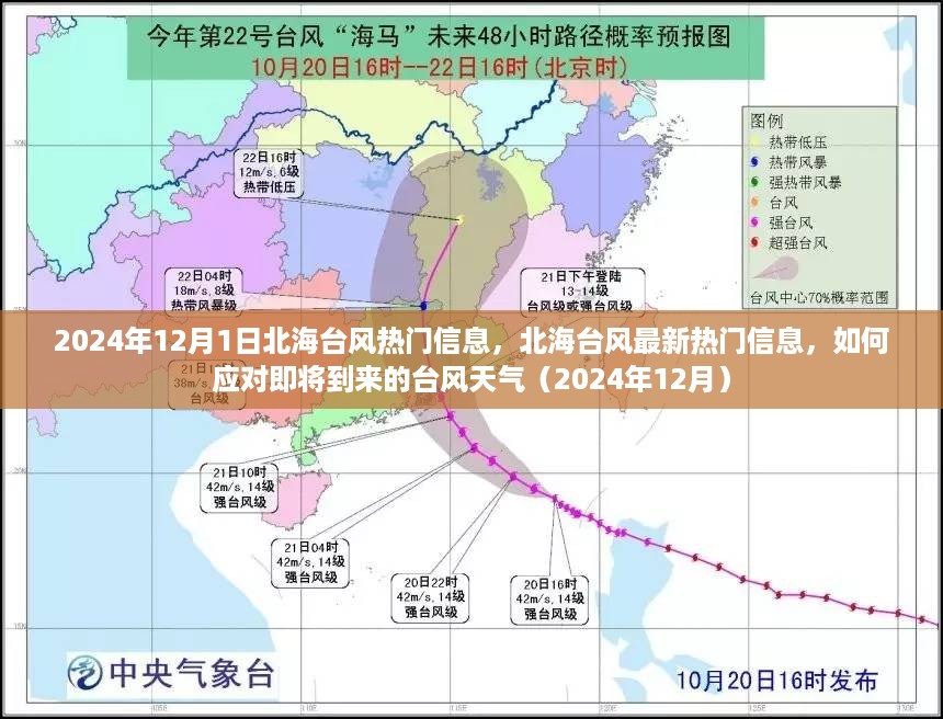 北海台风即将来袭，热门信息及应对指南（2024年12月）