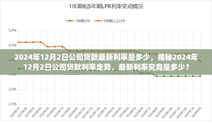 揭秘，2024年12月2日公司贷款利率走势及最新利率揭晓