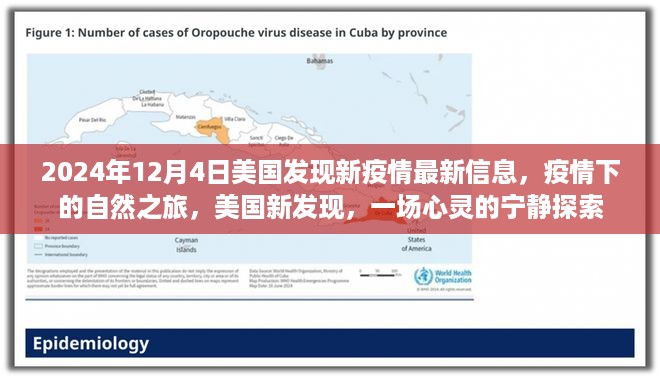 美国新发现疫情下的自然之旅，心灵宁静探索之旅的最新信息（2024年12月4日）