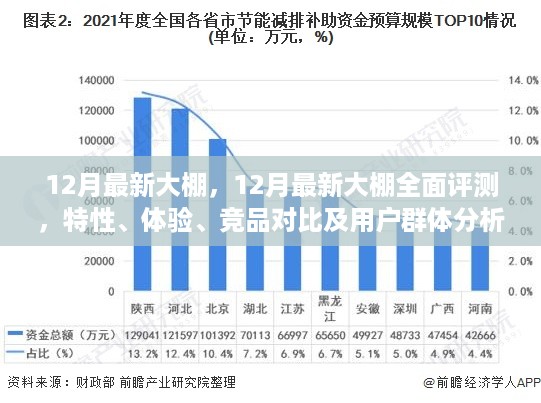 12月最新大棚全面评测，特性、体验、竞品对比及用户群体深度剖析