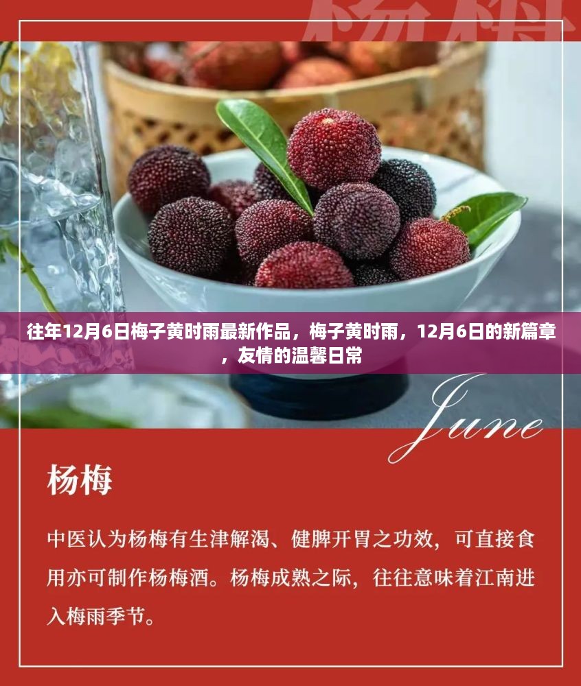 往年12月6日梅子黄时雨最新作品，梅子黄时雨，12月6日的新篇章，友情的温馨日常