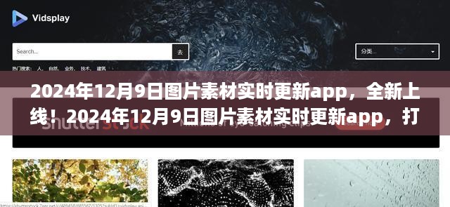 2024年图片素材实时更新app上线，打造视觉盛宴