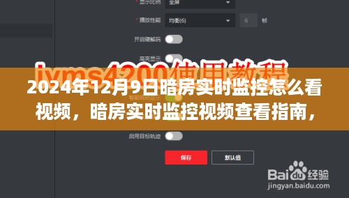 暗房实时监控视频查看指南，如何查看2024年12月9日监控视频回放？