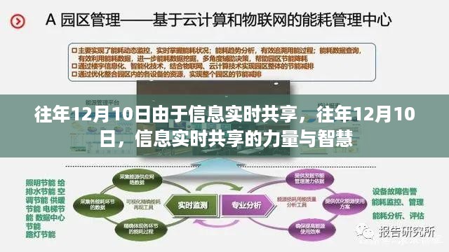 往年12月10日信息实时共享的力量与智慧展现，智慧连接的力量与成果展现