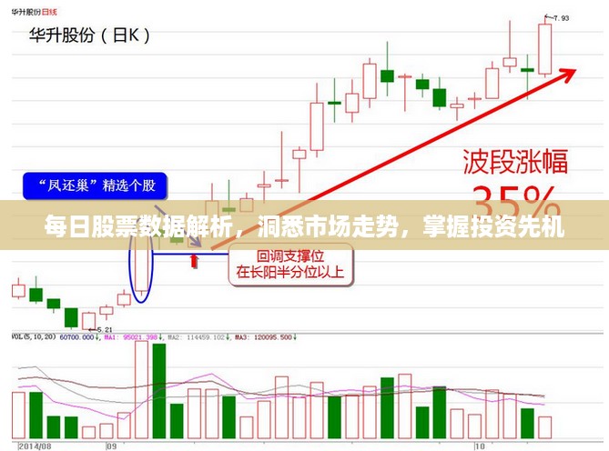 每日股票数据解析，洞悉市场走势，掌握投资先机