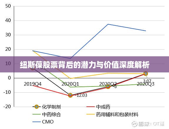 纽斯葆股票背后的潜力与价值深度解析