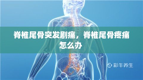 脊椎尾骨突发剧痛，脊椎尾骨疼痛怎么办 