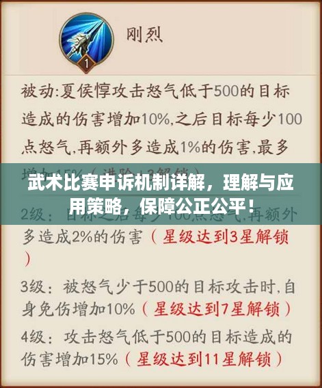 武术比赛申诉机制详解，理解与应用策略，保障公正公平！