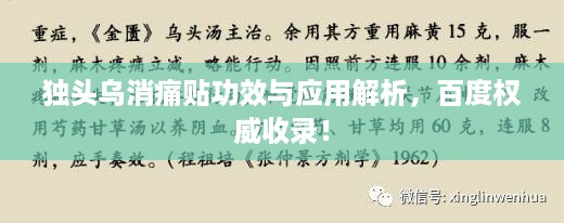 独头乌消痛贴功效与应用解析，百度权威收录！