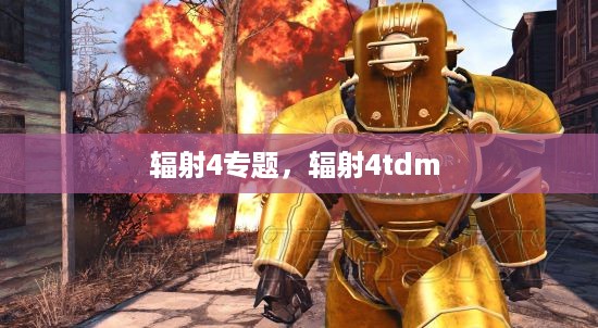 辐射4专题，辐射4tdm 