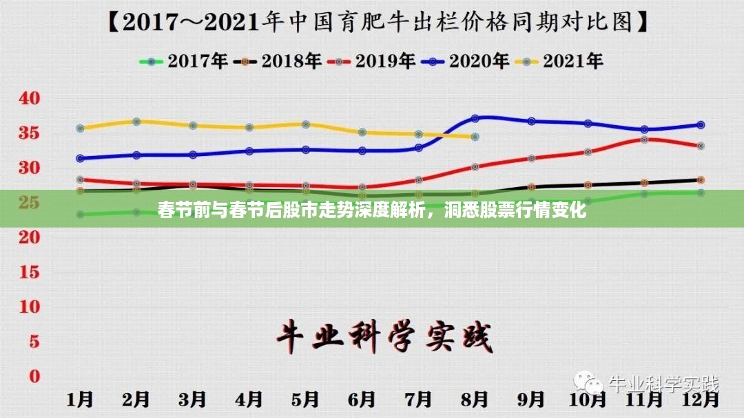 春节前与春节后股市走势深度解析，洞悉股票行情变化