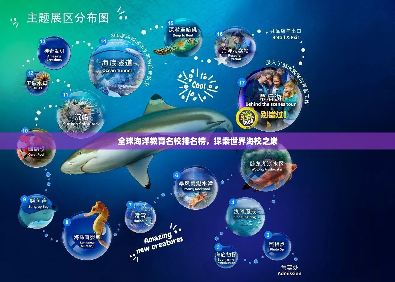 全球海洋教育名校排名榜，探索世界海校之巅